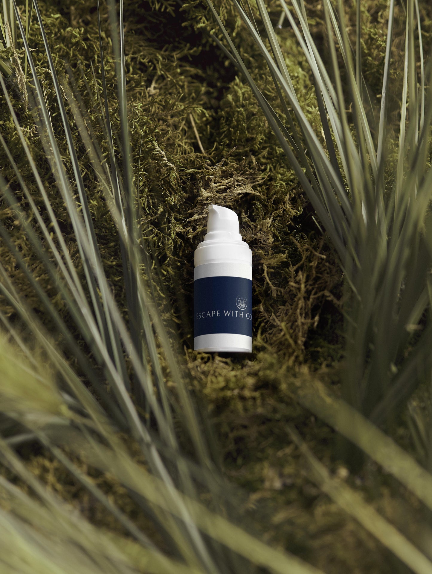 Summer Season Bestsellers Collection Box